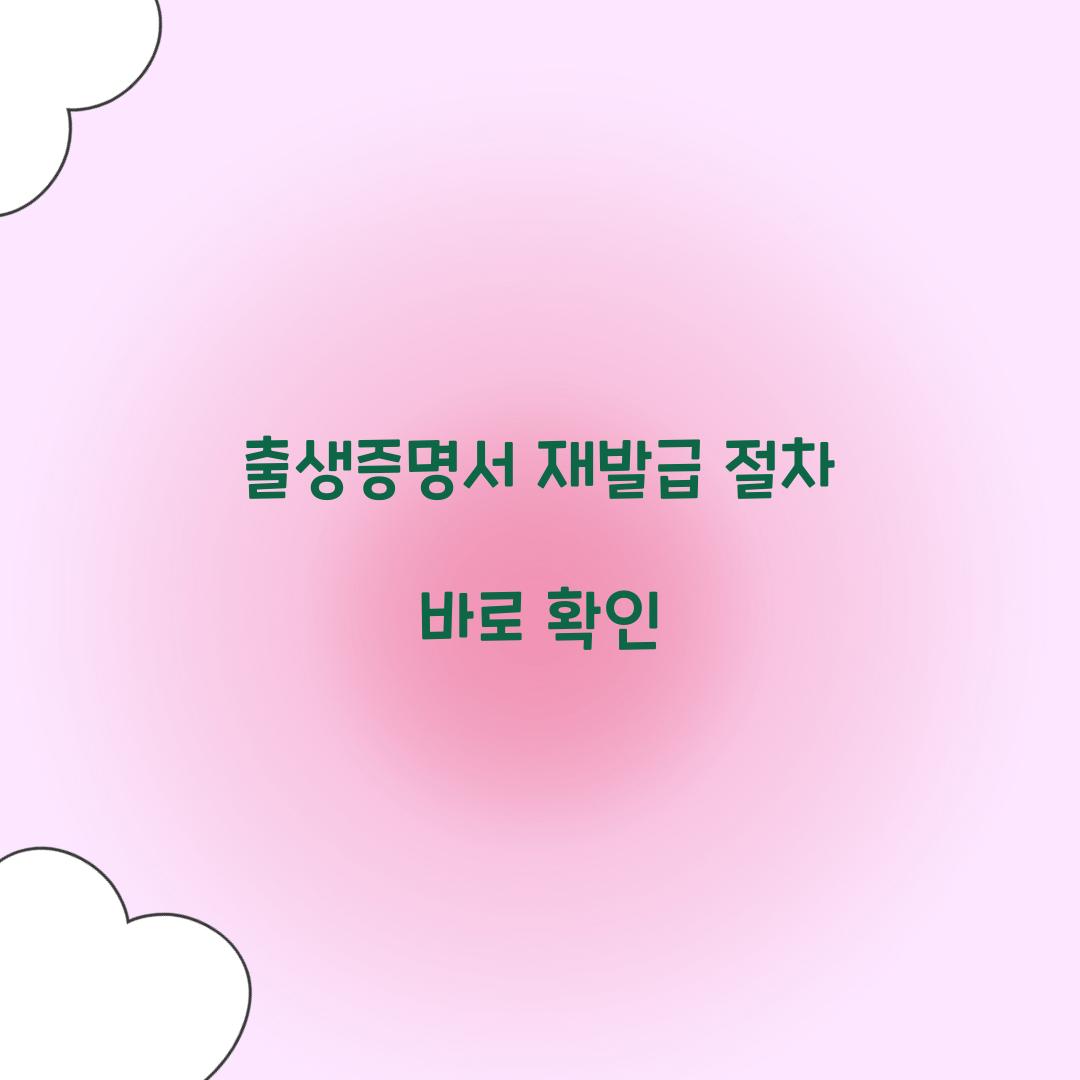 출생증명서 재발급