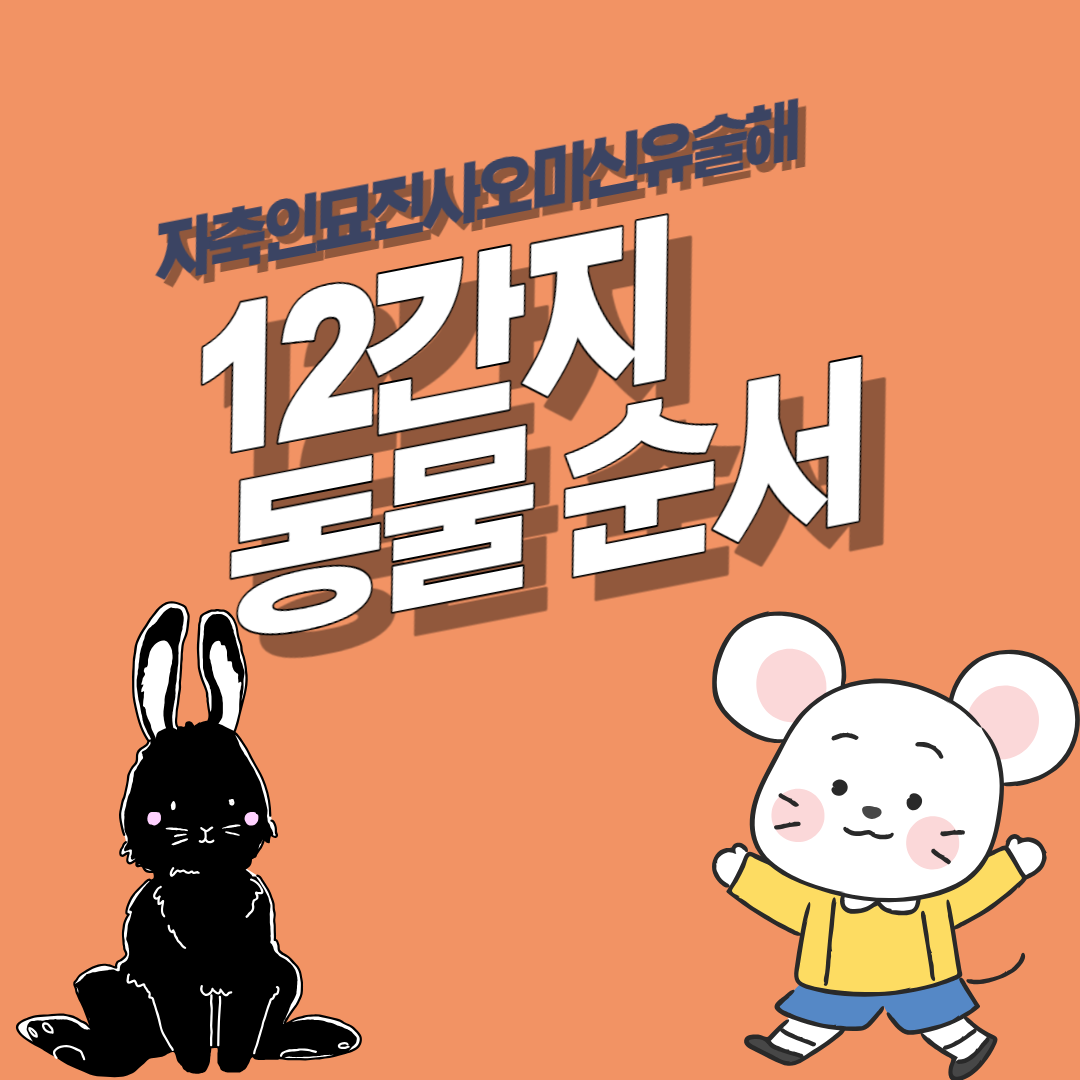 12간지 동물 순서와 시간대