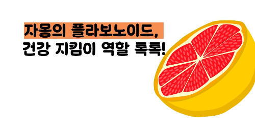 자몽 효능