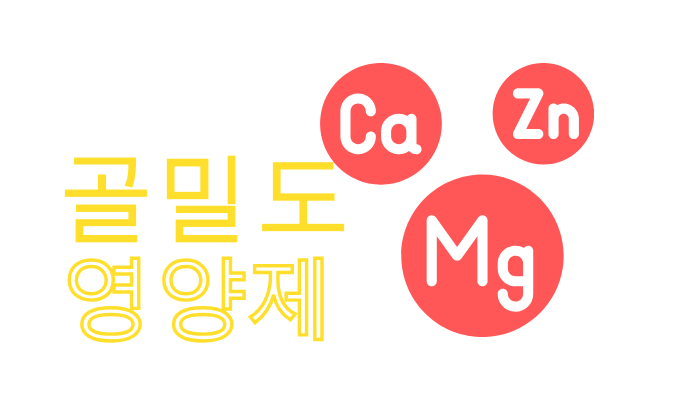 골밀도 높이는 영양제