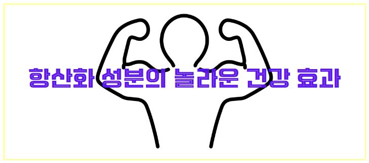 항산화 성분의 놀라운 건강 효과 알아보기