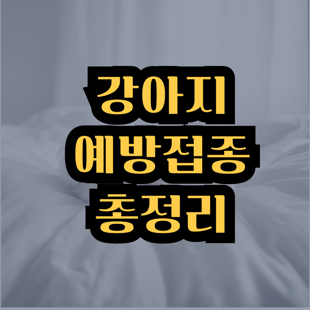 강아지 예방접종 총정리