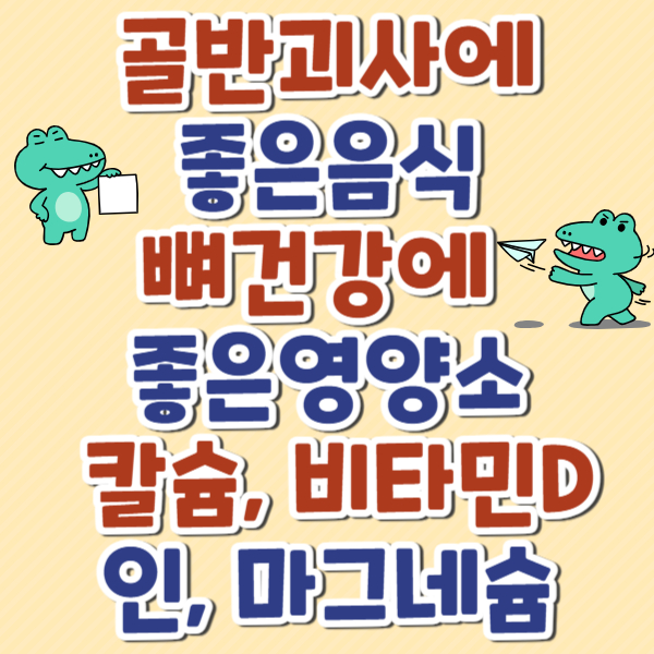 골반괴사에 좋은음식/ 뼈건강에 좋은영양소/ 칼슘, 비타민D,마그네슘