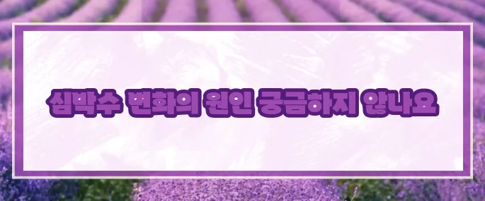 심장이 두근거리는 증상 (+건강체크)
