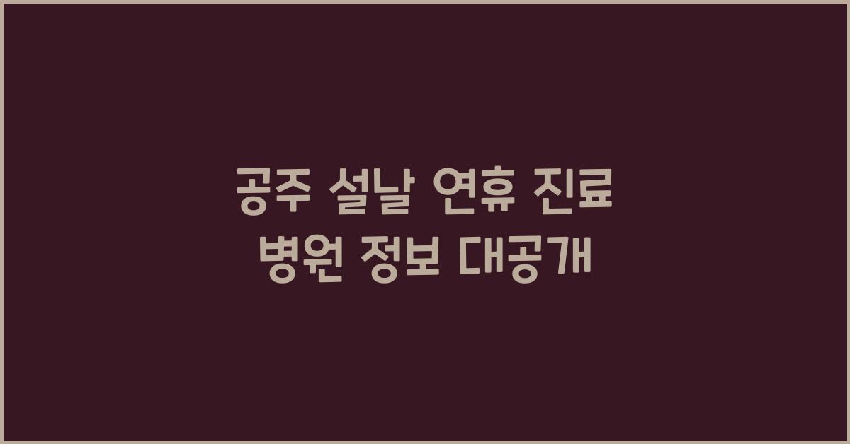 공주 설날 연휴 진료 병원 정보