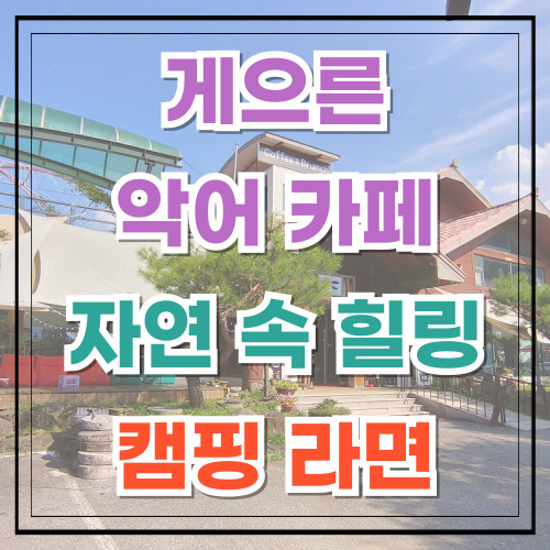 충주 게으른 악어 카페 리뷰 자연 속 힐링 캠핑 라면