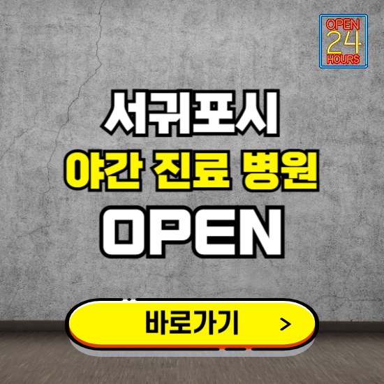 제주 서귀포시 야간진료 병원 찾기 ❘ 24시 심야 밤 늦게 여는 병원