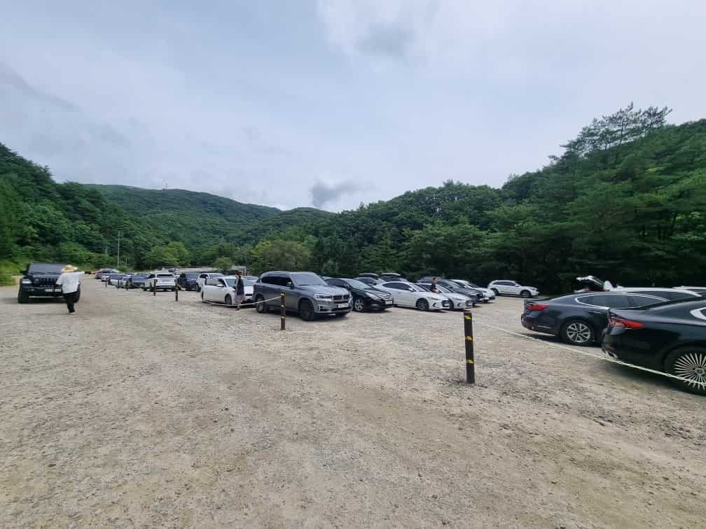 대관령 삼양목장 주차