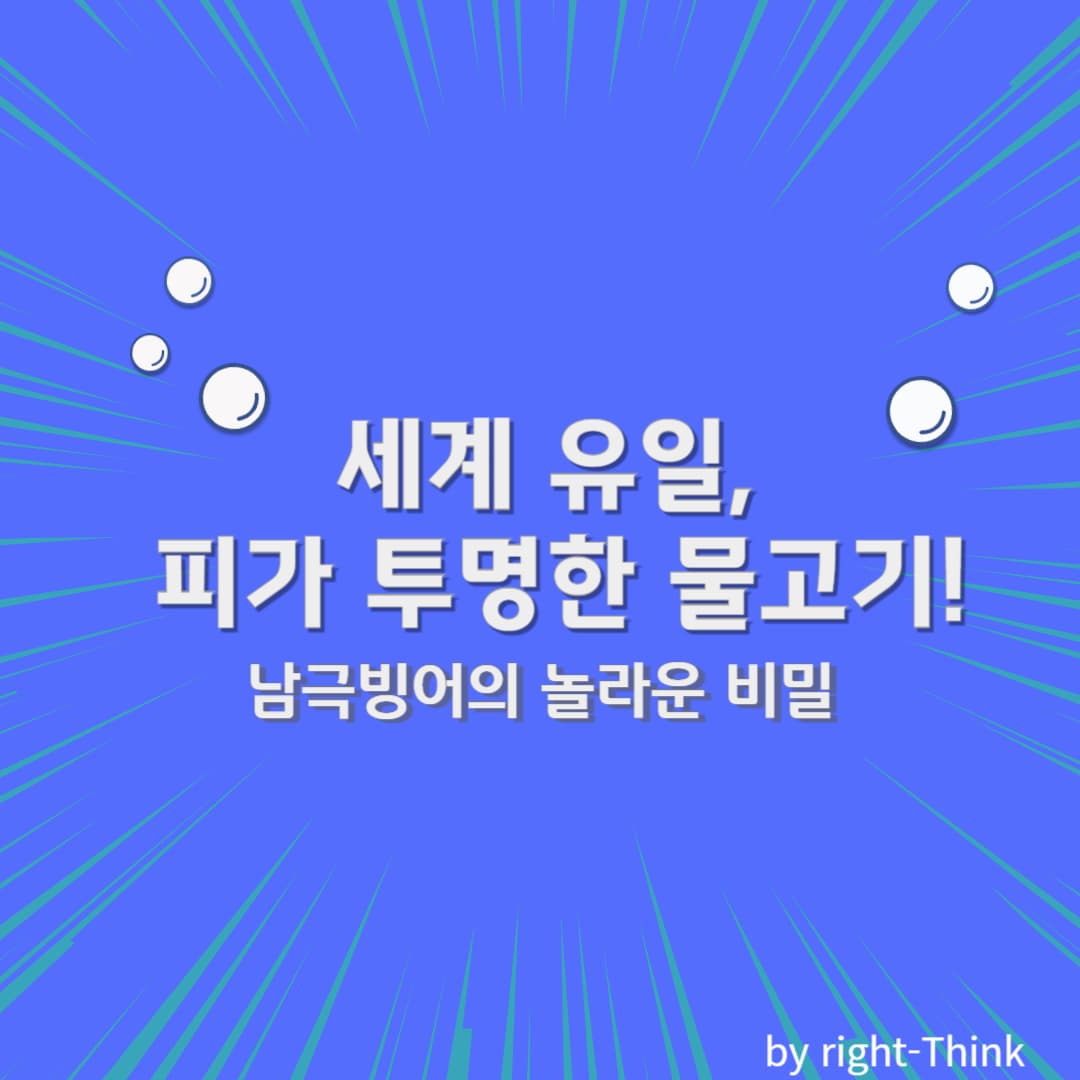 세계 유일, 피가 투명한 물고기. 남극빙어