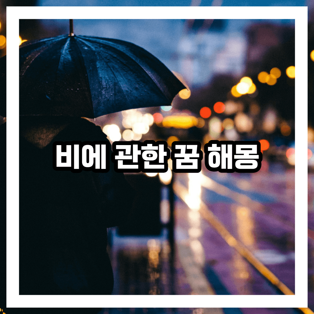 비에 관한 꿈 해몽