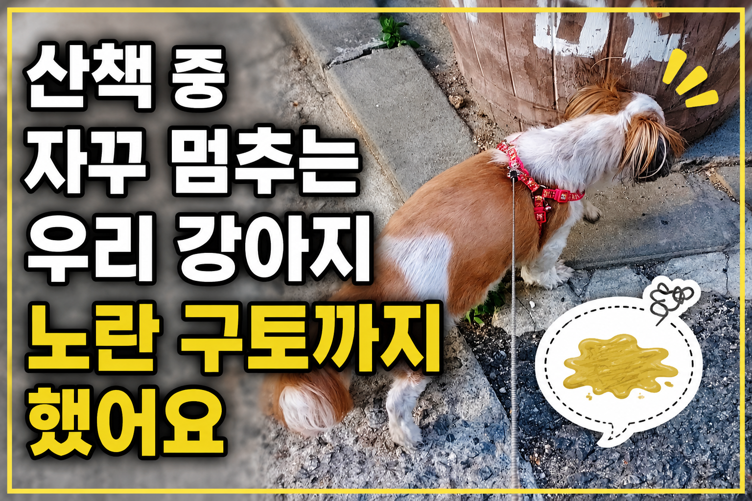 산책 중 냄새를 맡고 있는 노령견 별이의 모습
