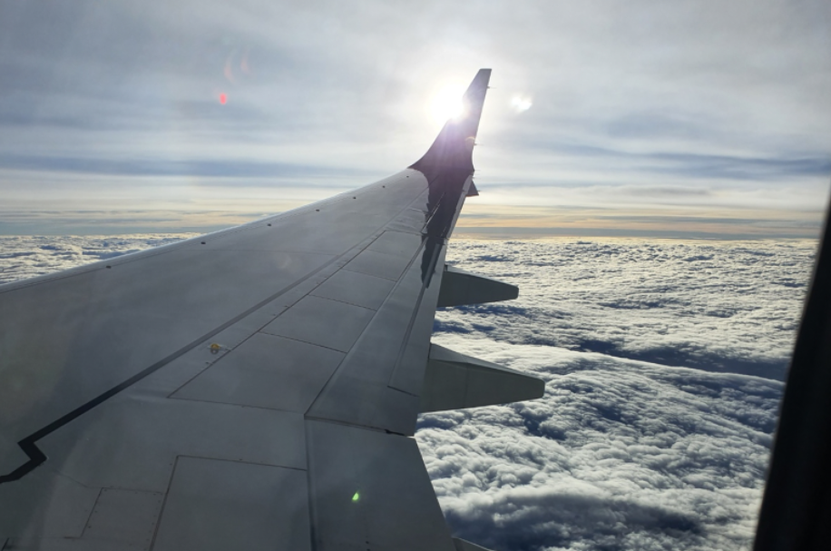공동운항 노선? 꼭 미리 확인하세요