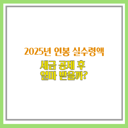 2025년 연봉 실수령액