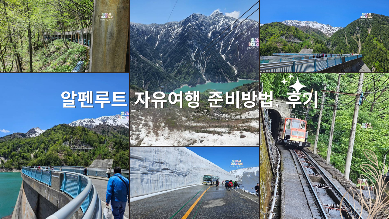 도야마 직행, 알펜루트 자유여행 준비방법, 후기 - 진짜 좋은데 넘나 추움!