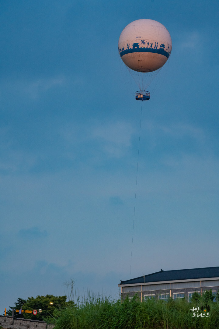 플라잉 수원 떠있는 모습