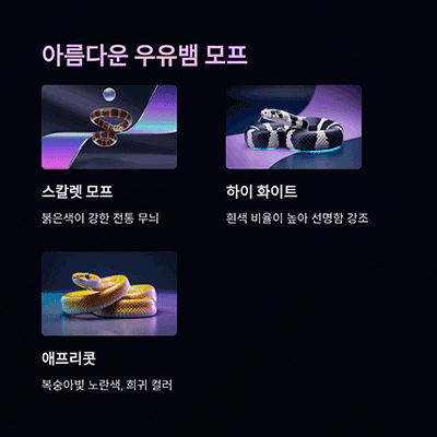 입문자에게 추천