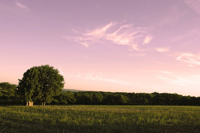 귀촌 실패 후기