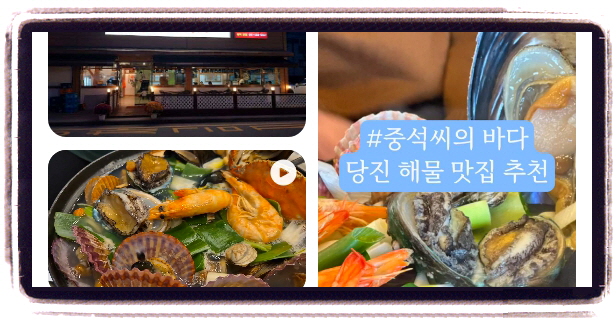 백반기행 당진 막회 산더미해물칼국수 후기