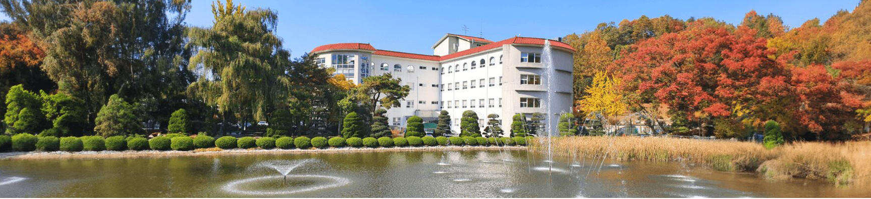 치매-의료서비스-안심병원-용인-전문병원