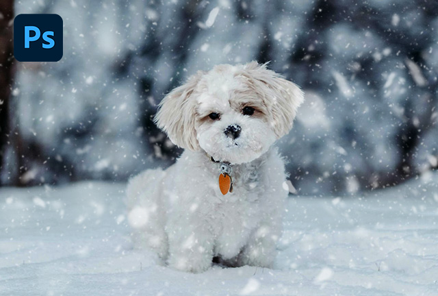 눈 내리는 효과 쉽게 내기