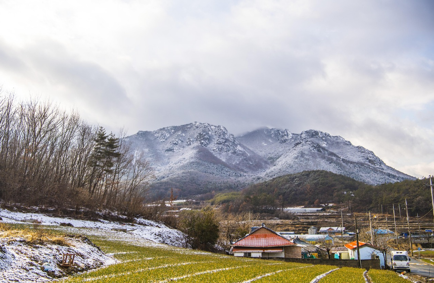 설경