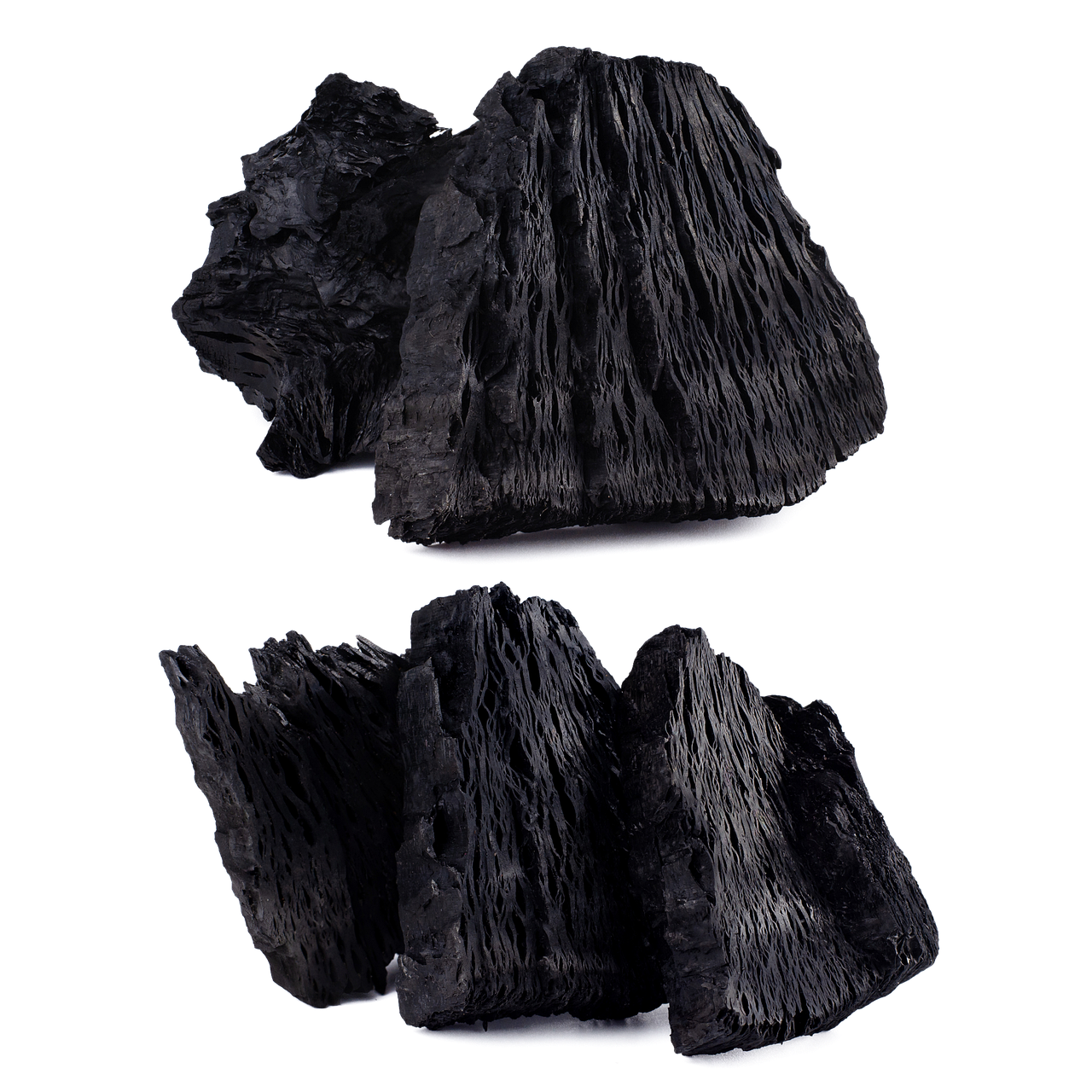 습기 제거하는 방법