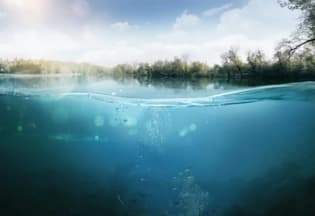 자연꿈주제(강)