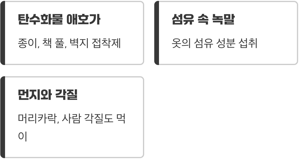 녀석들의 뷔페, 종이와 먼지