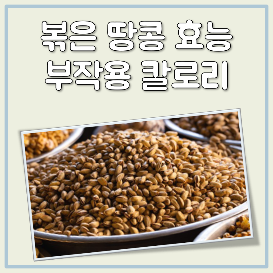 볶은 땅콩 1개 칼로리와 하루 섭취량 그리고 효능 및 부작용