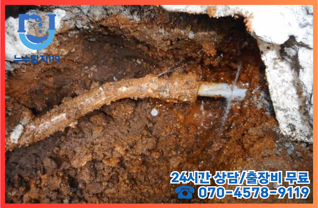 성남동 상가3