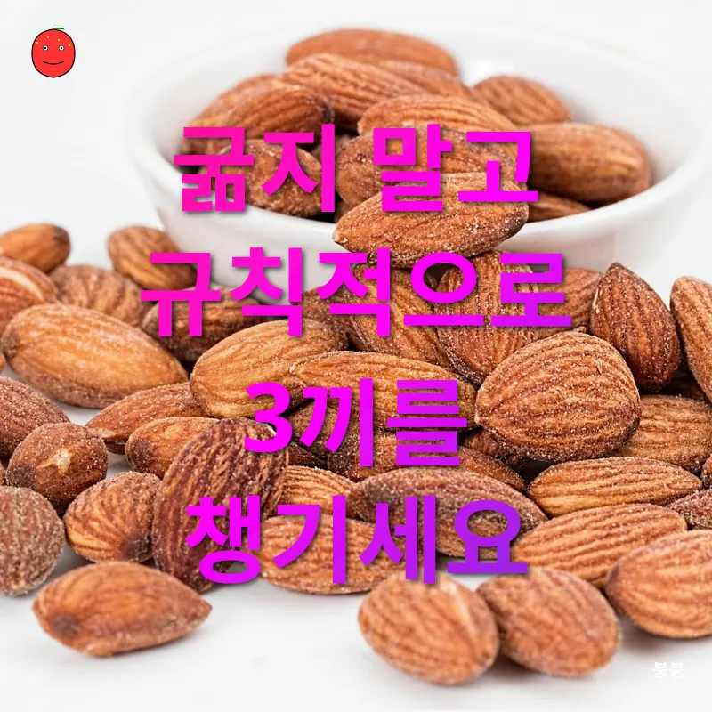 건강한 식단 관리_1
