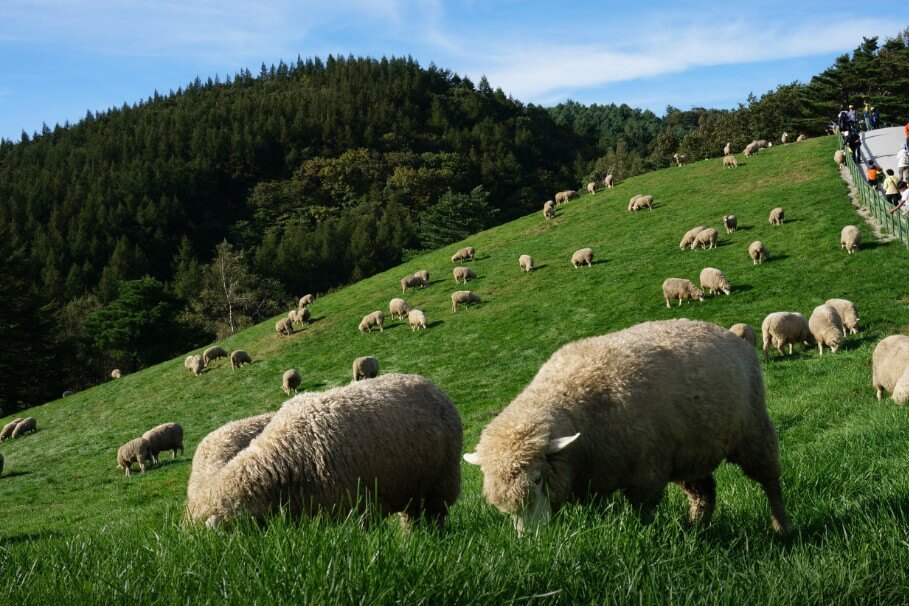 2025년 5월 어린이날, 어린이날 아이들과 함께 떠나기 좋은 여행지 추천!!