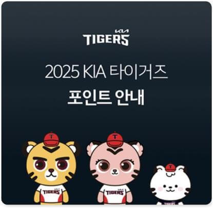 경기 관람 전 필수 체크 사항