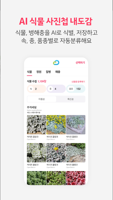 식물 이름 찾기 어플, 식물 백과사전, 식물도감