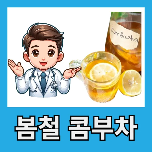 "봄철 피로회복 콤부차"