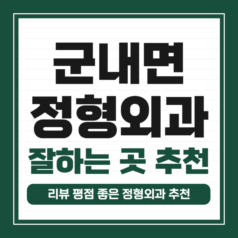 파주시 군내면 정형외과 유명한 곳 잘하는 곳 추천 TOP 5