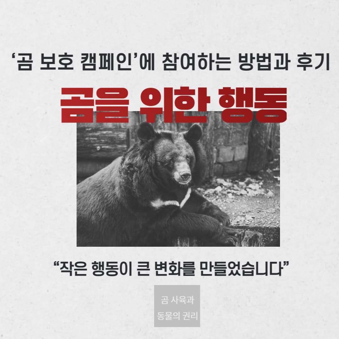 &lsquo;곰 보호 캠페인&rsquo;에 참여하는 방법과 후기