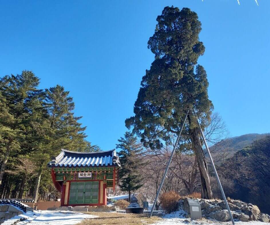 파주 보광사 : 영조 임금의 효심이 깃든 천년고찰 어실각과 마애불 탐방