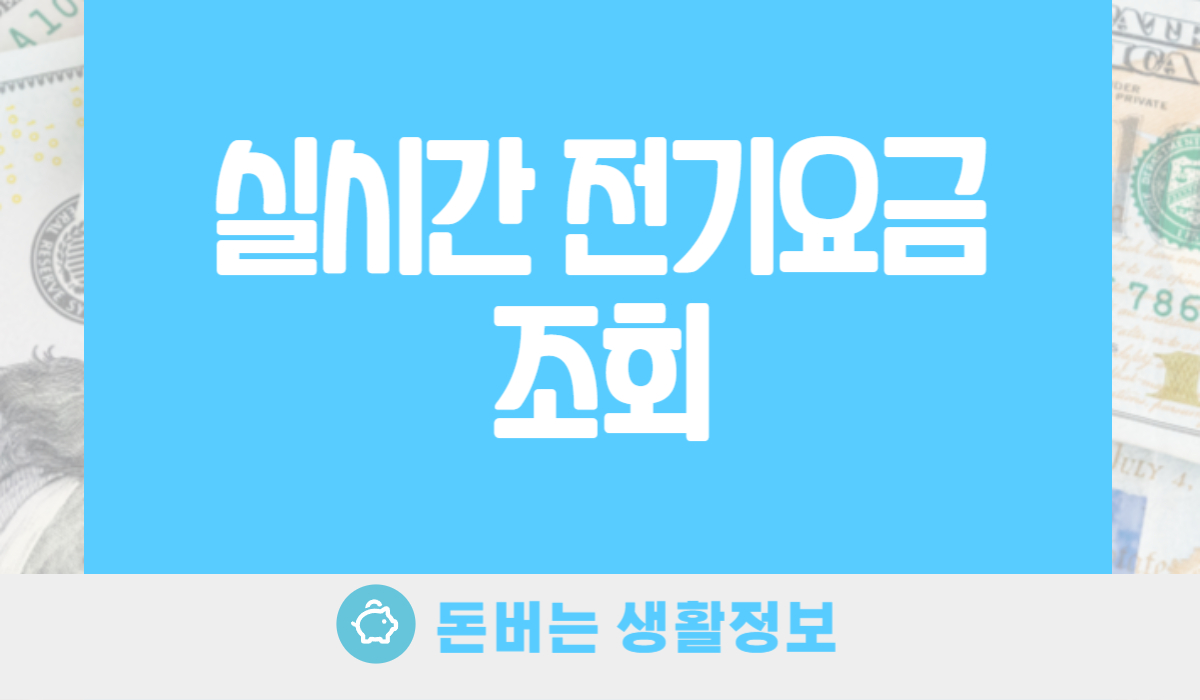 실시간 전기요금 조회