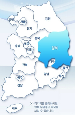휴일지킴이 약국 확인하는 방법