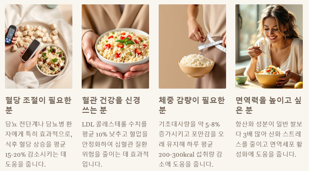 바나듐쌀 추천