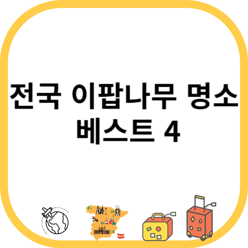 전국 이팝나무 명소 베스트 4