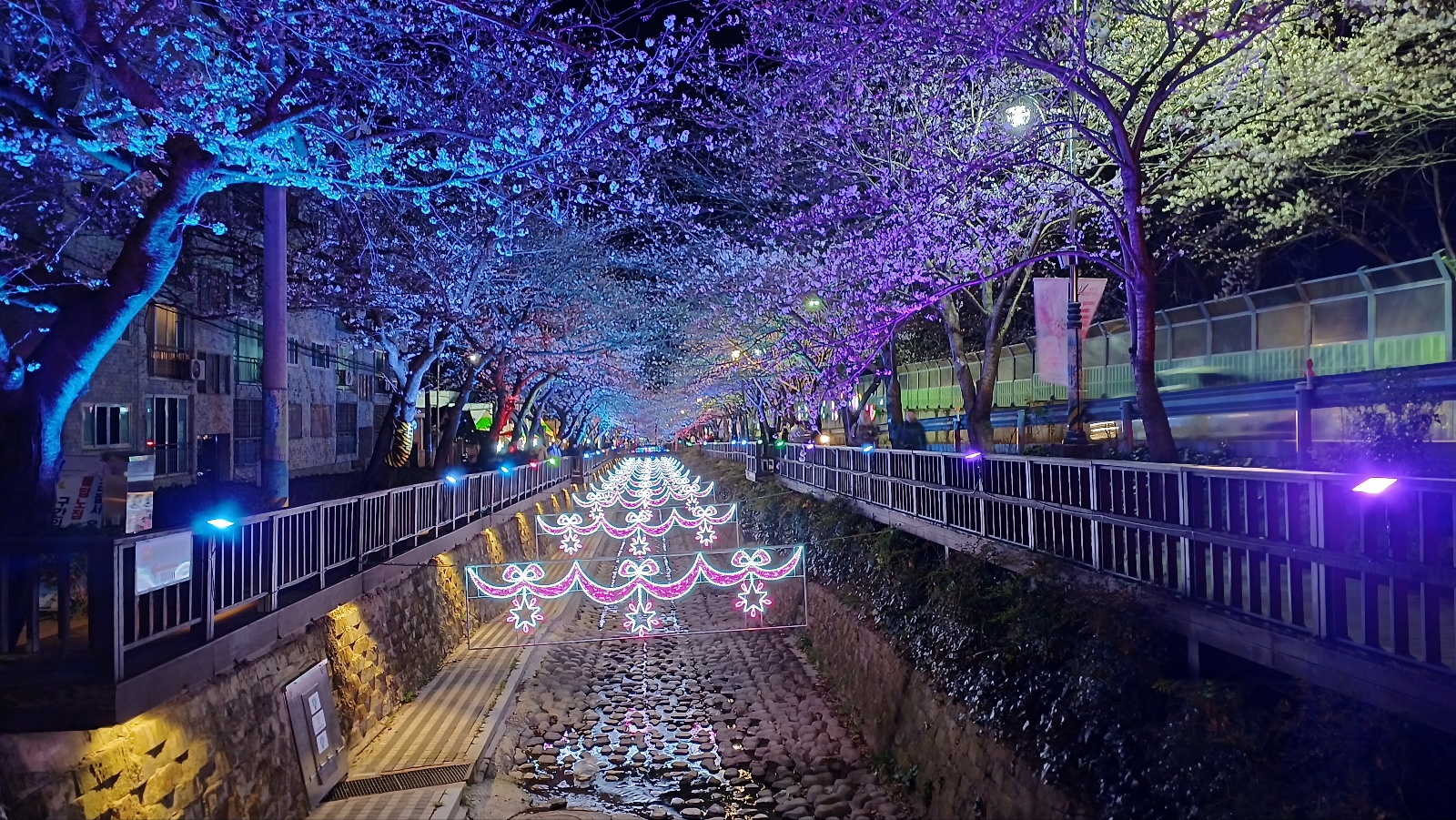 여좌천 벚꽃9