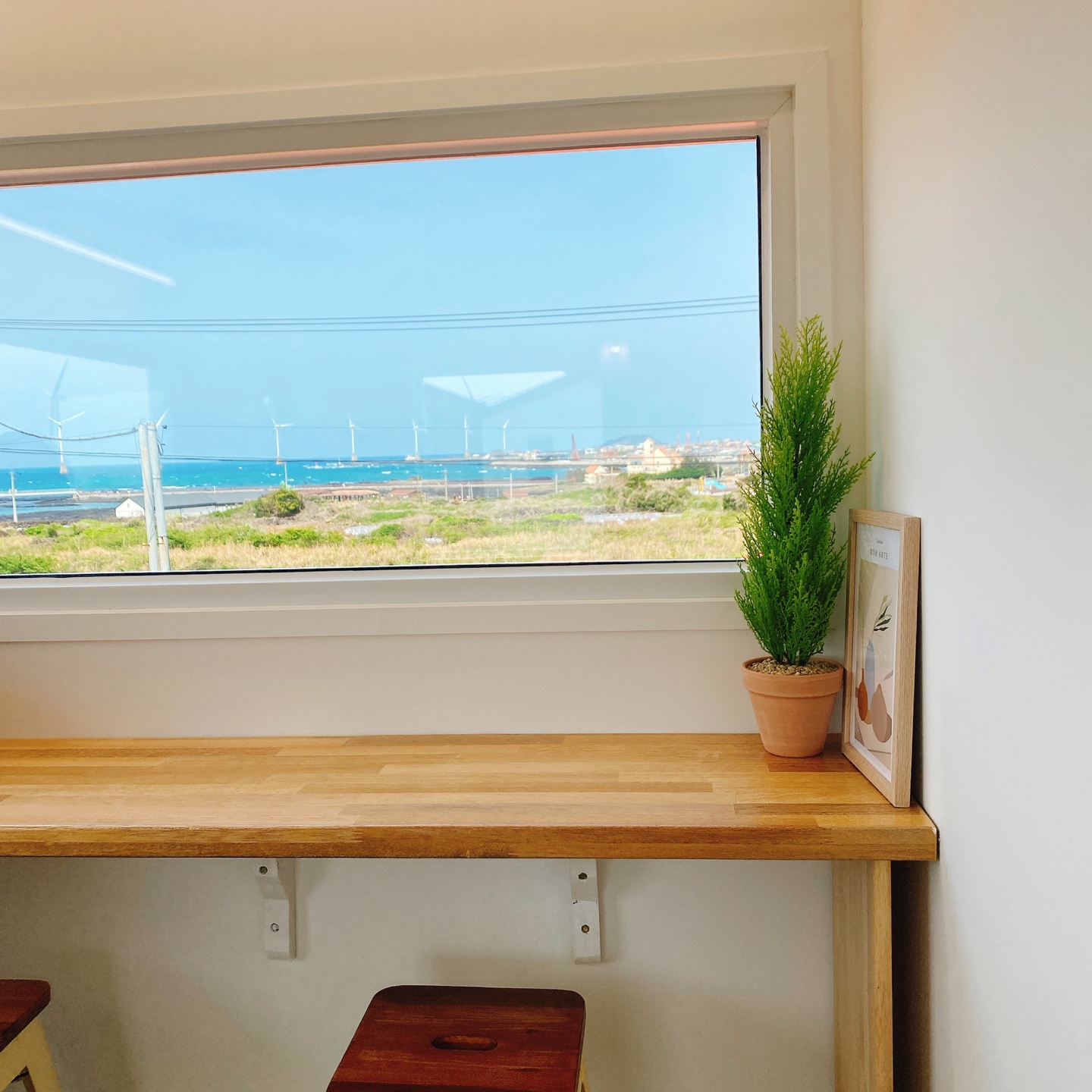 제주 한경 싱계물공원 바다목장 솜사탕 커피 그린구름 카페