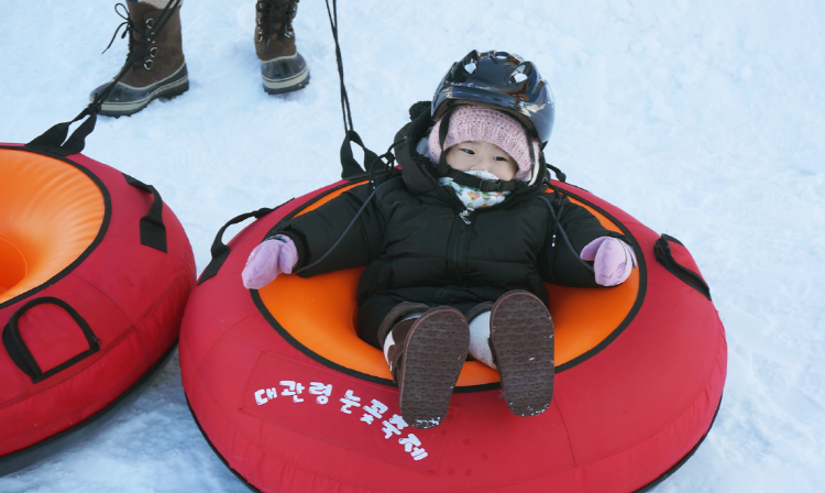 대관령 눈꽃축제