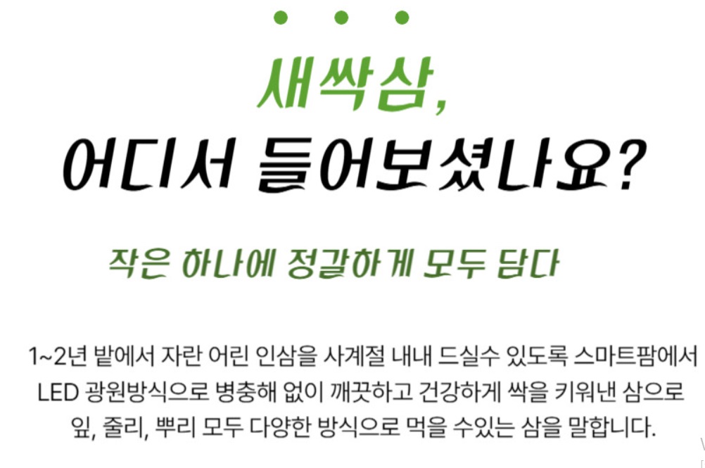 강원-원주-새싹삼-함결농장-함결새싹삼농장