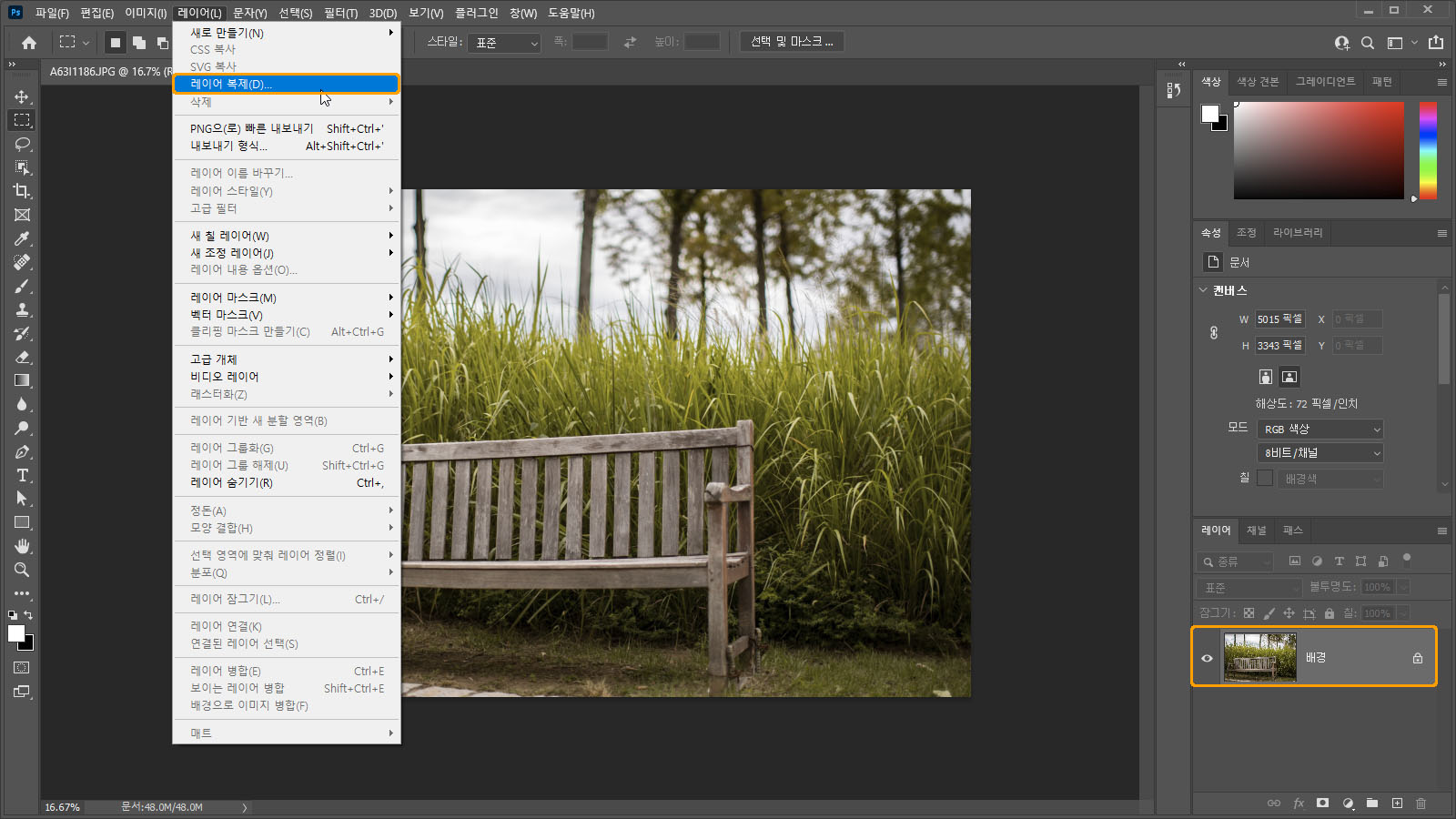레이어 복제 메뉴