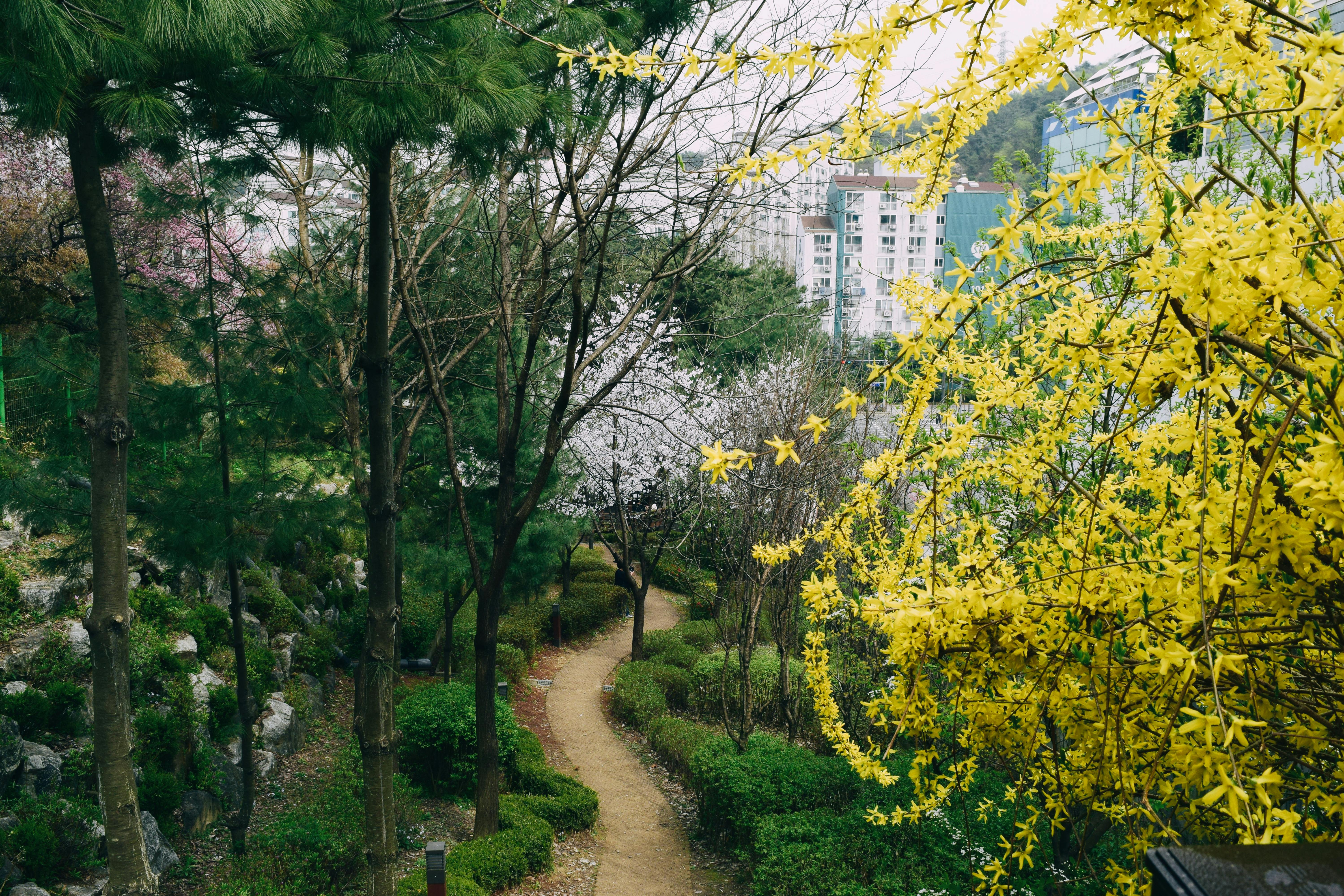 사유원 산책길 동선 실제 모습 많이 걷는 코스