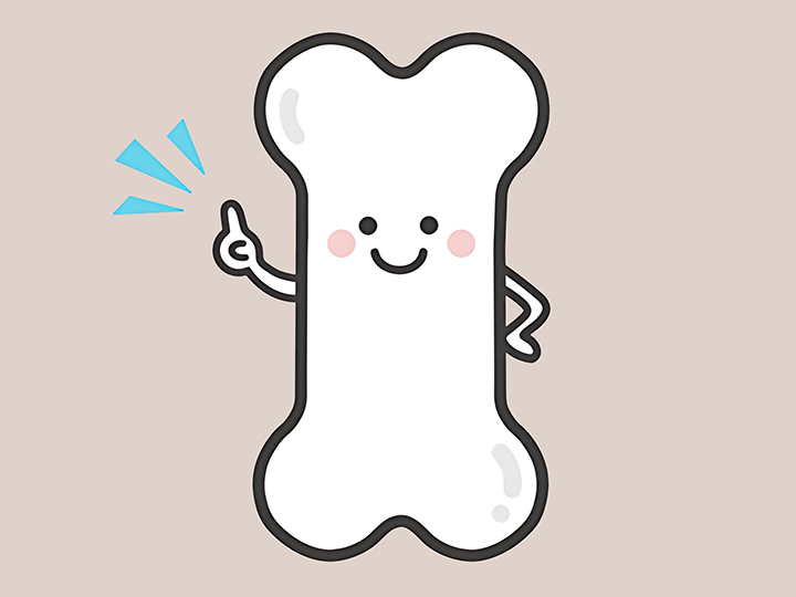 뼈-건강-강화