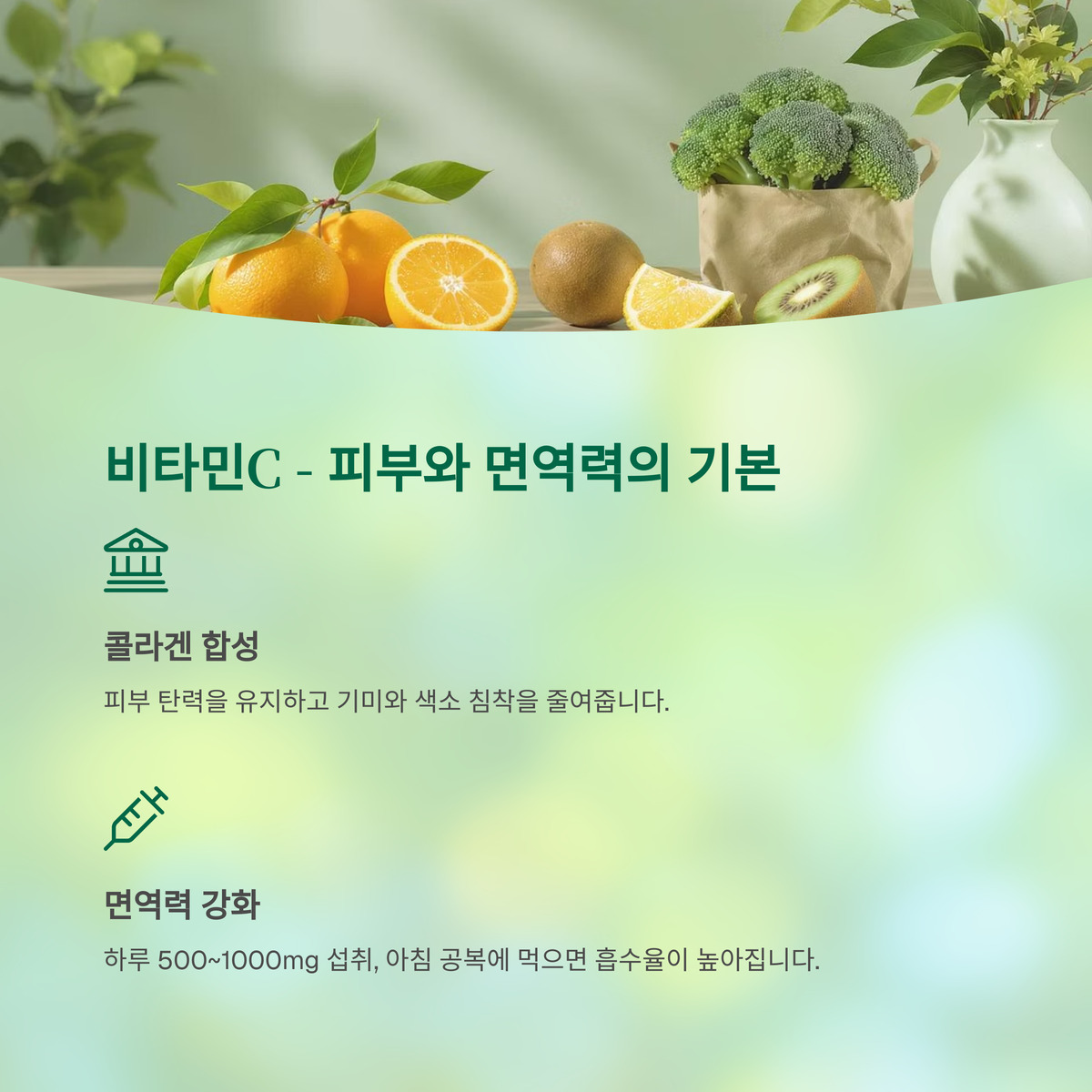 비타민C – 피부와 면역의 기본